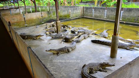 singapore crocodile farm